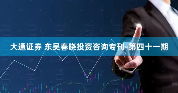 大通证券 东吴春晓投资咨询专刊-第四十一期