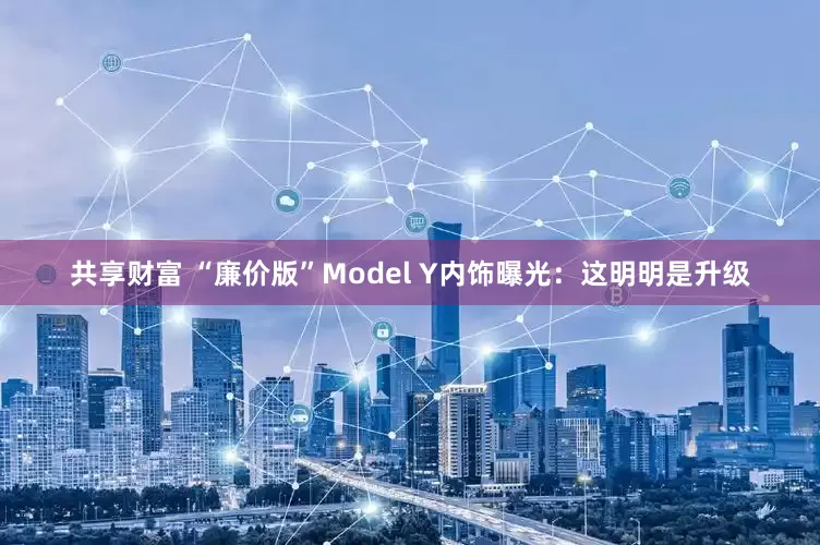 共享财富 “廉价版”Model Y内饰曝光：这明明是升级