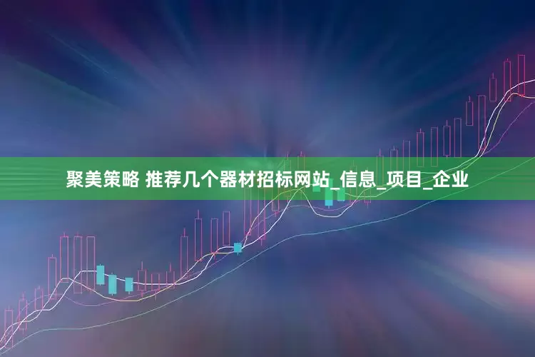 聚美策略 推荐几个器材招标网站_信息_项目_企业