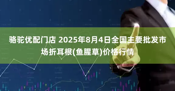 骆驼优配门店 2025年8月4日全国主要批发市场折耳根(鱼腥草)价格行情