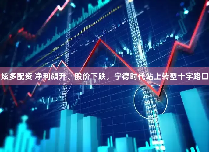 炫多配资 净利飙升、股价下跌，宁德时代站上转型十字路口