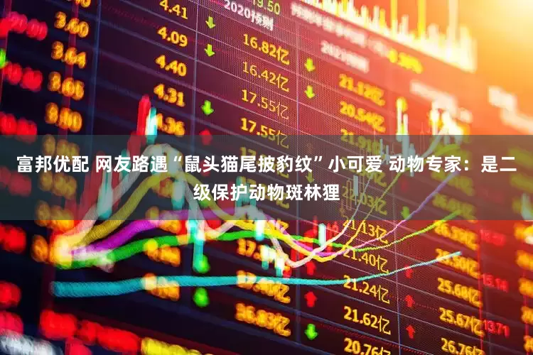 富邦优配 网友路遇“鼠头猫尾披豹纹”小可爱 动物专家：是二级保护动物斑林狸