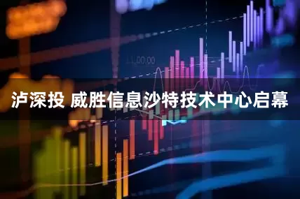 泸深投 威胜信息沙特技术中心启幕