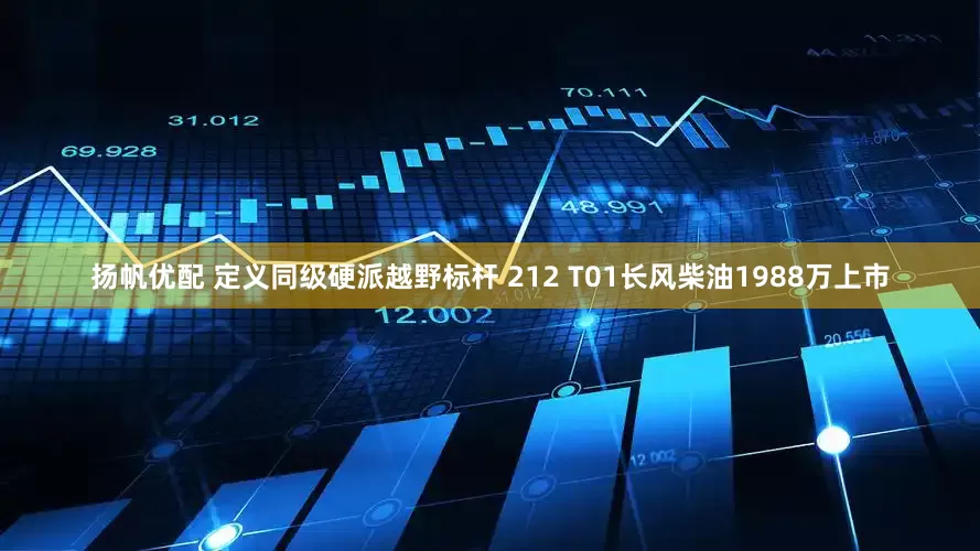 扬帆优配 定义同级硬派越野标杆 212 T01长风柴油1988万上市