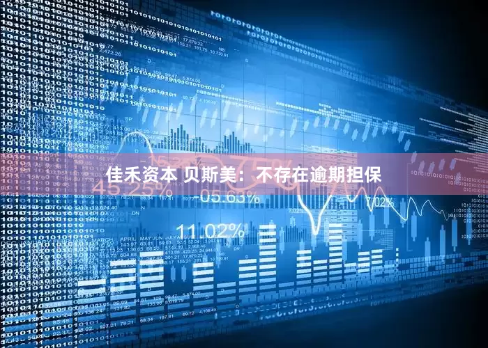 佳禾资本 贝斯美：不存在逾期担保